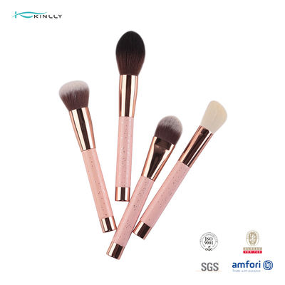 Plastic de Borstelsreis Kit Cosmetics Beauty Tools van de Handvat10pcs Make-up